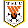 Shandong Taishan